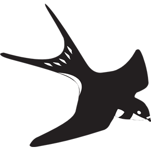 Swallow PNG-67357